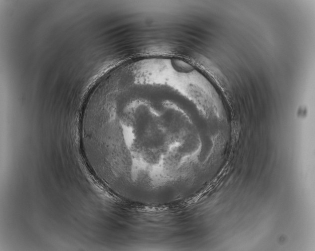 X0000099230345200805081602