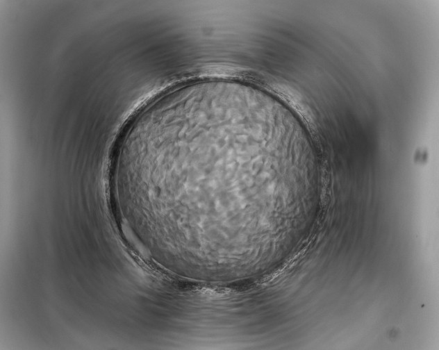 X0000099230346200805081602