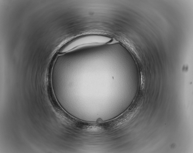 X0000099230348200805081603