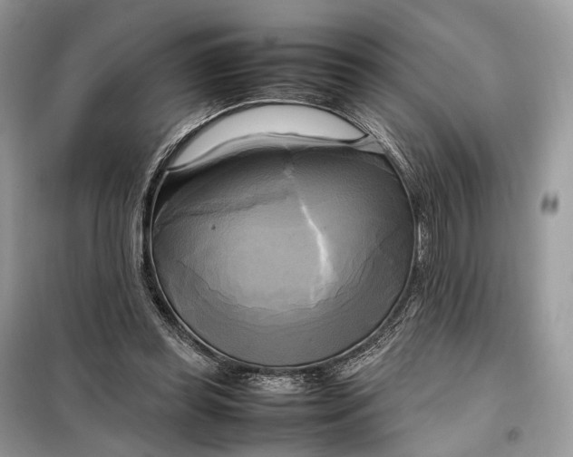 X0000099230349200805081603