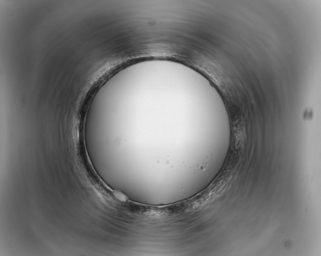 X0000099230350200805081603