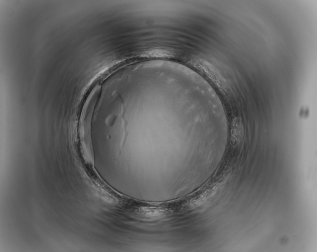 X0000099230351200805081603