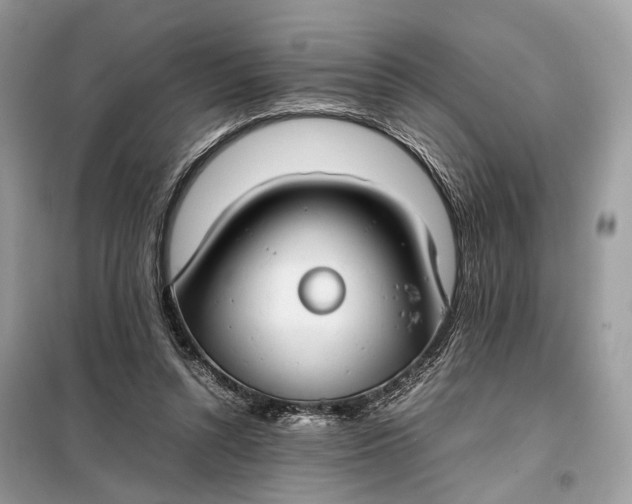 X0000099230352200805081603