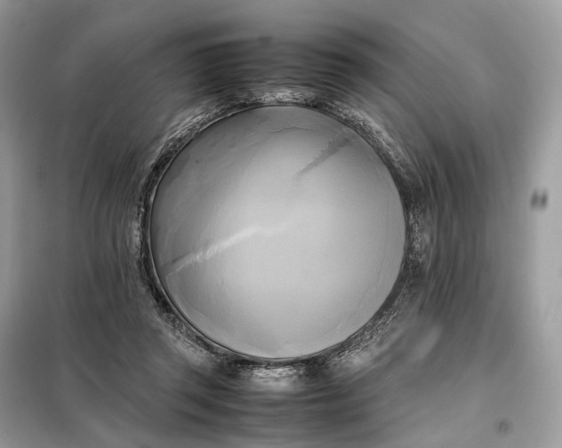 X0000099230357200805081603