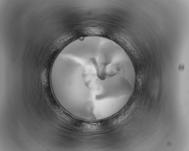 X0000099230359200805081603