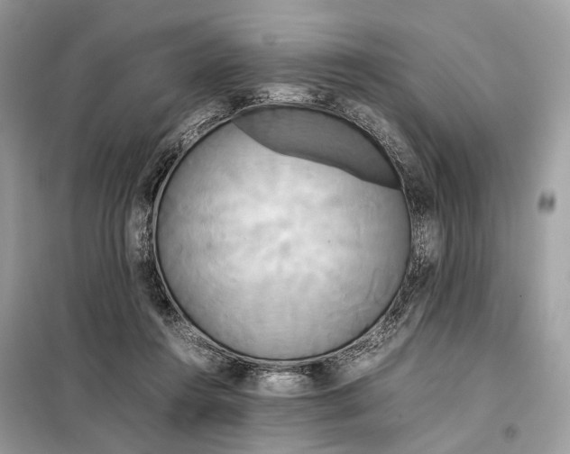 X0000099230360200805081603