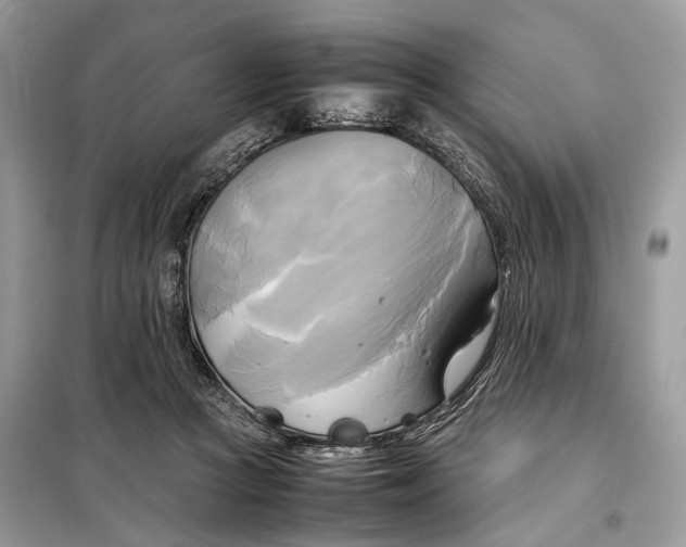 X0000099230361200805081603