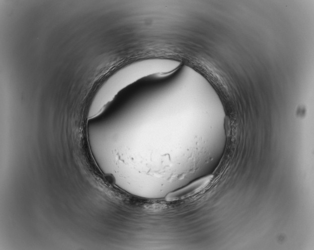 X0000099230362200805081603