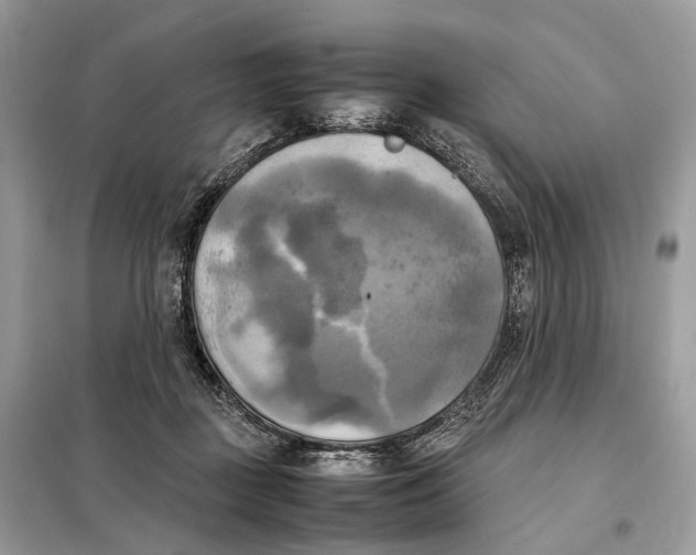 X0000099230363200805081603