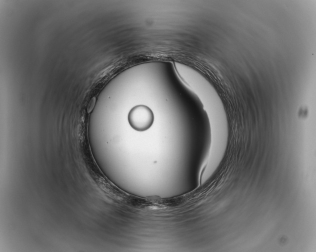 X0000099230364200805081603