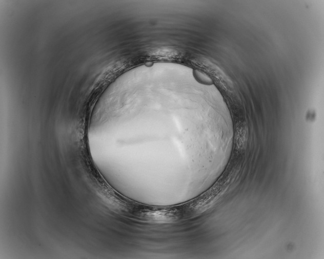 X0000099230365200805081603