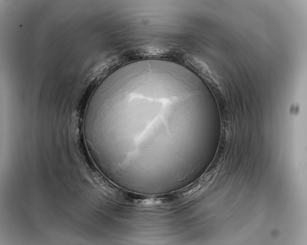 X0000099230366200805081603