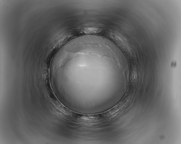 X0000099230367200805081603