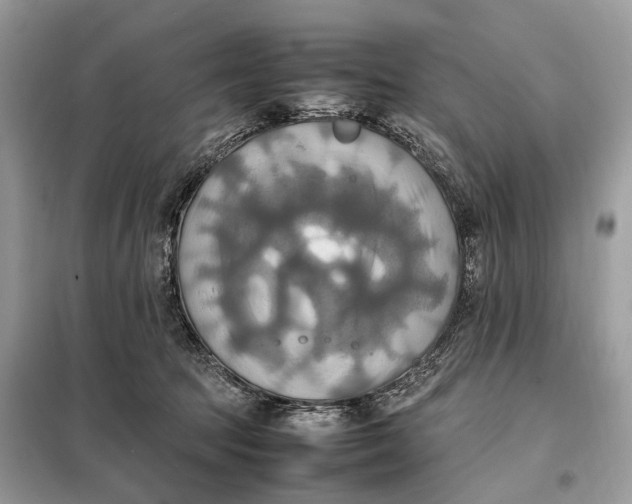 X0000099230369200805081603