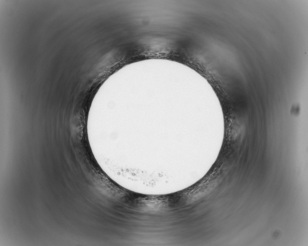 X0000099230370200805081603