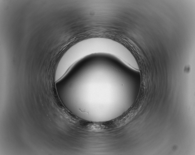 X0000099230372200805081603