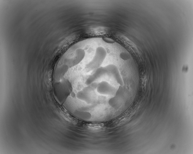 X0000099230373200805081603