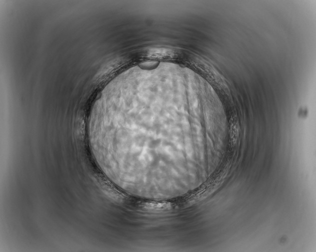 X0000099230375200805081603