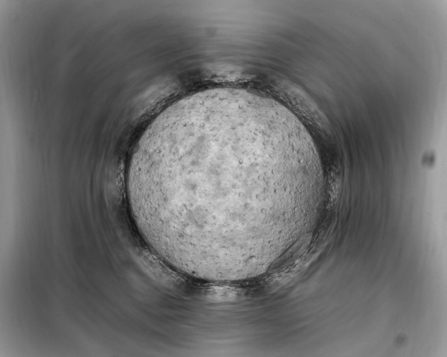 X0000099230376200805081603