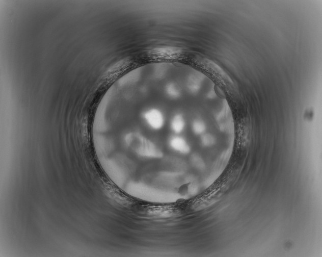 X0000099230377200805081603