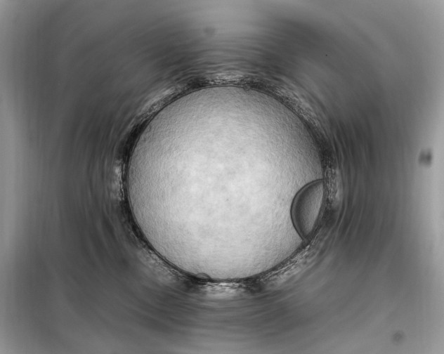 X0000099230378200805081603