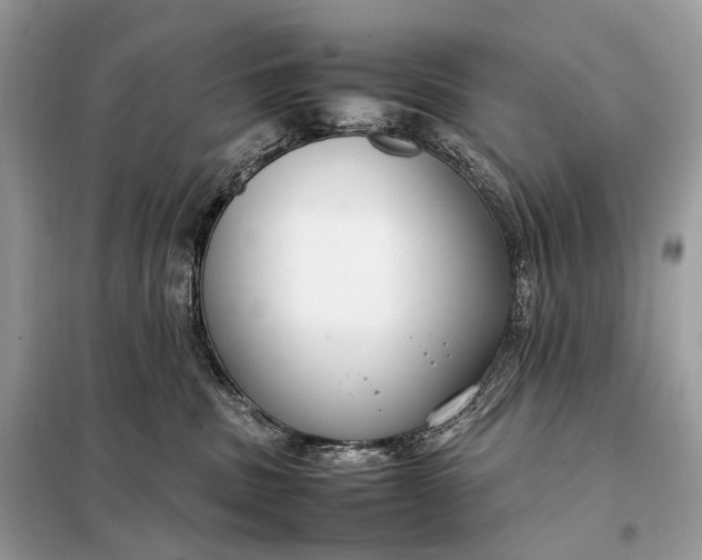 X0000099230379200805081603