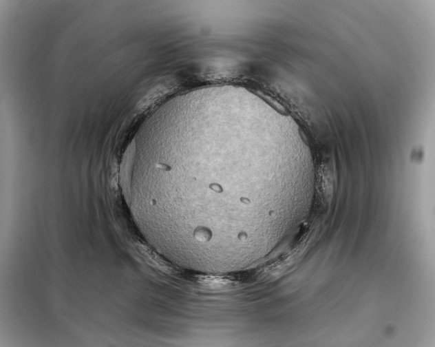 X0000099230380200805081603