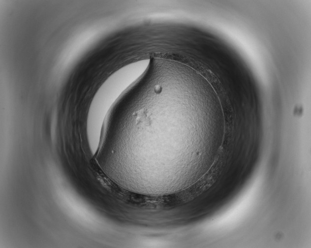 X0000099230382200805081603