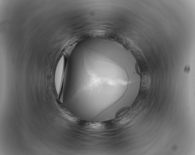 X0000099230383200805081603