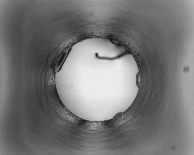 X0000099230384200805081603