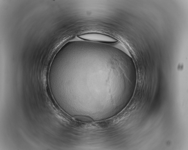 X0000099230386200805081602