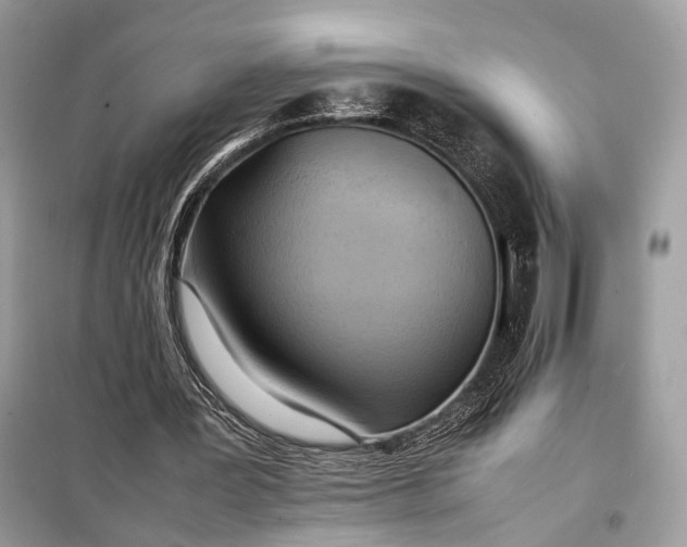 X0000099230387200805081602