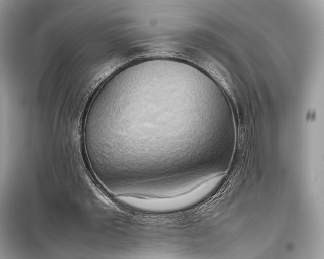 X0000099230389200805081602