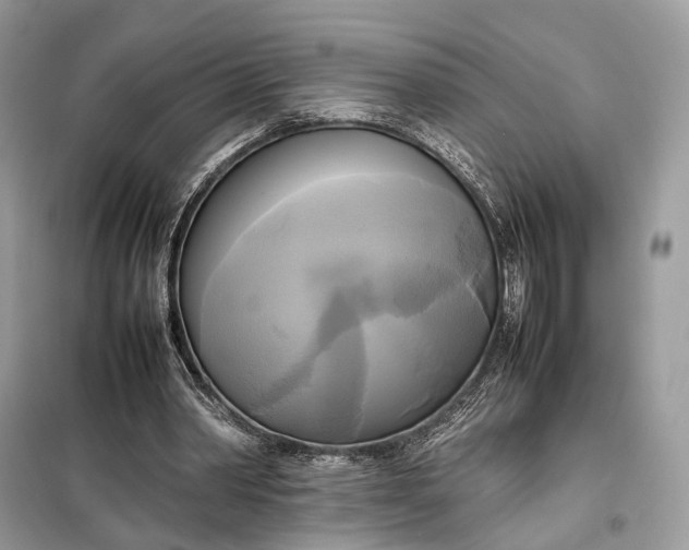 X0000099230390200805081602