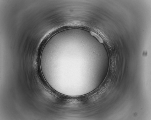 X0000099230392200805081602