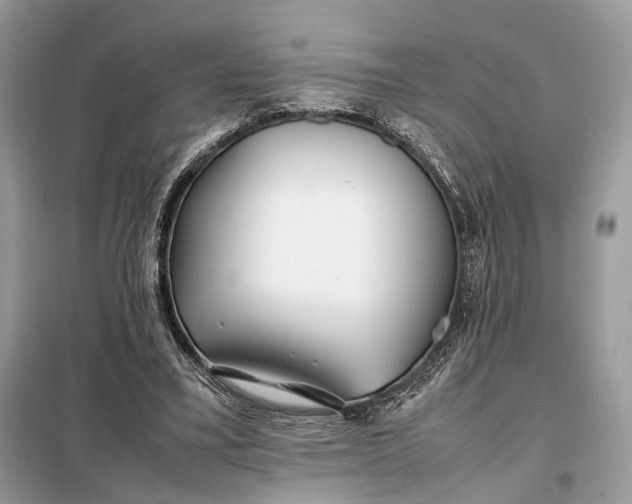 X0000099230395200805081602