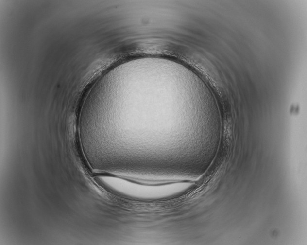 X0000099230397200805081602