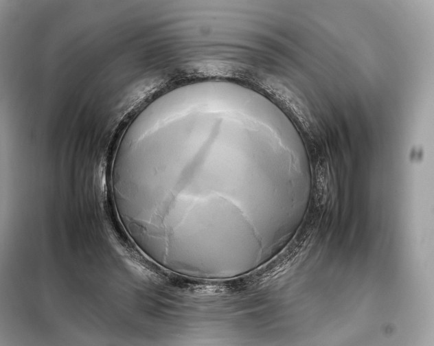 X0000099230398200805081602