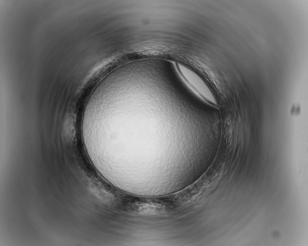 X0000099230400200805081602