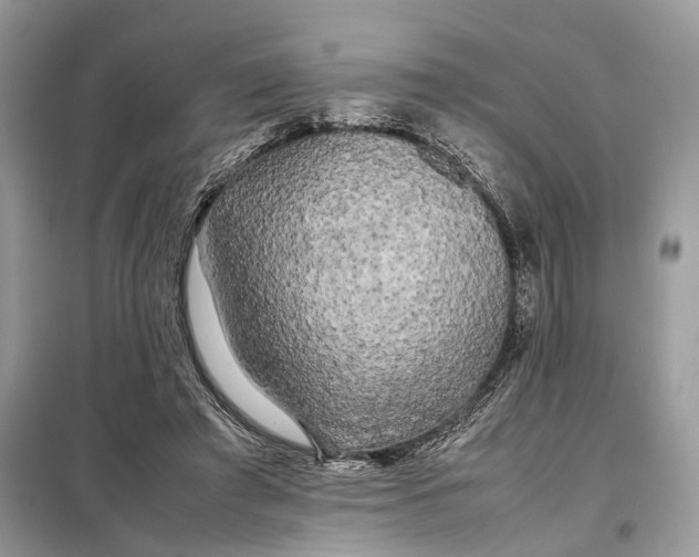 X0000099230401200805081602