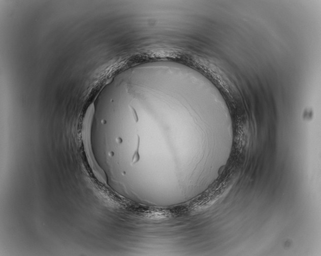 X0000099230402200805081602