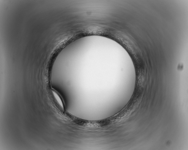 X0000099230403200805081602