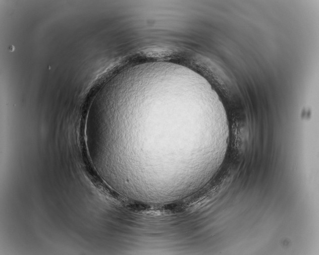 X0000099230404200805081602