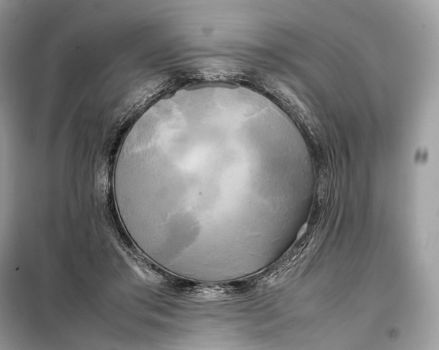 X0000099230405200805081602