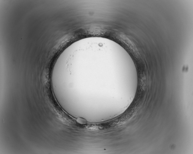 X0000099230407200805081602