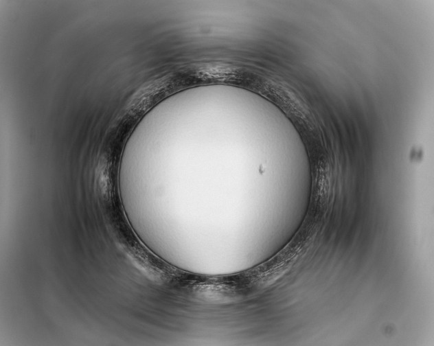 X0000099230408200805081602