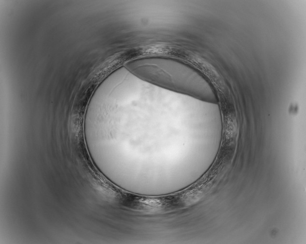 X0000099230409200805081602