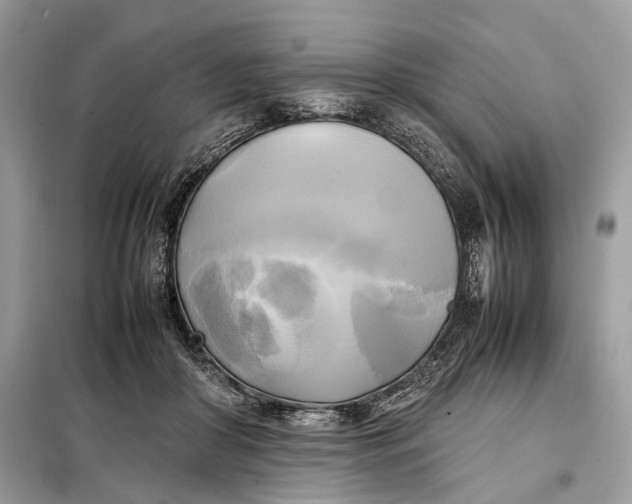 X0000099230410200805081602