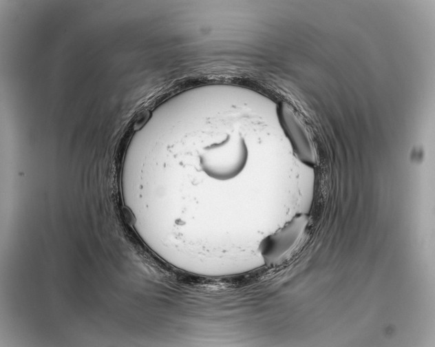 X0000099230411200805081602