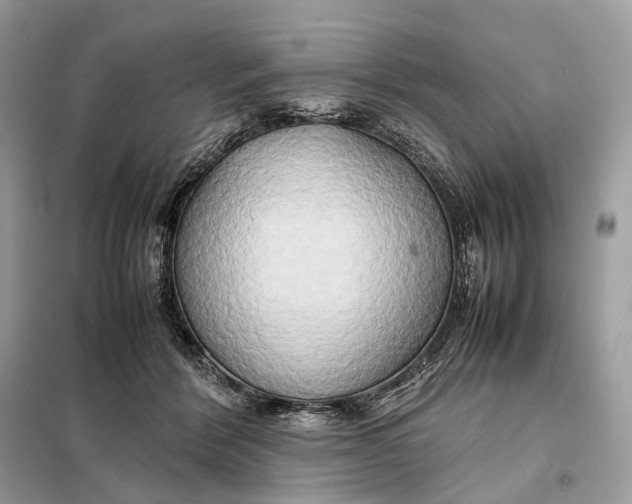 X0000099230412200805081602